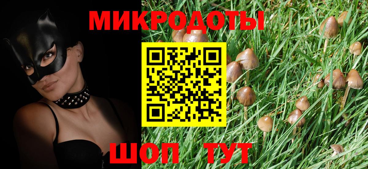 Галлюциногенные грибы Psilocybine cubensis Каменка