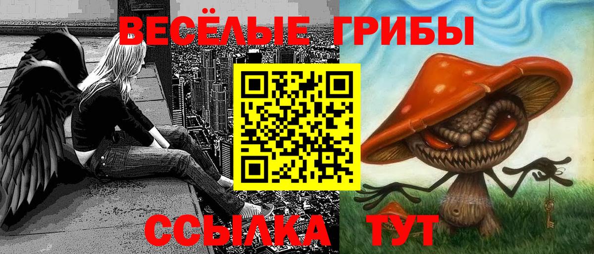 Каменка  Псилоцибиновые грибы Magic Shrooms  Вход с VPN 